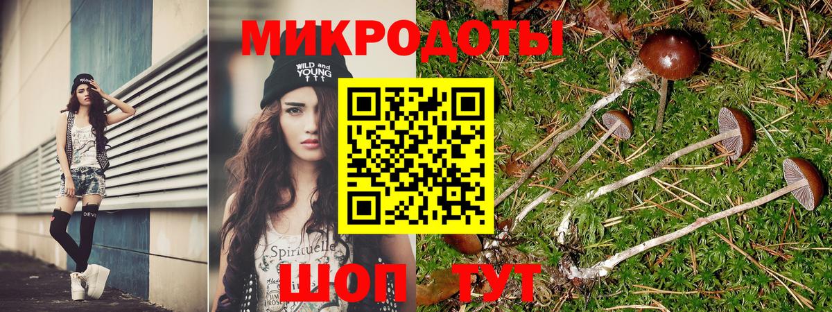 Псилоцибиновые грибы ЛСД Александров