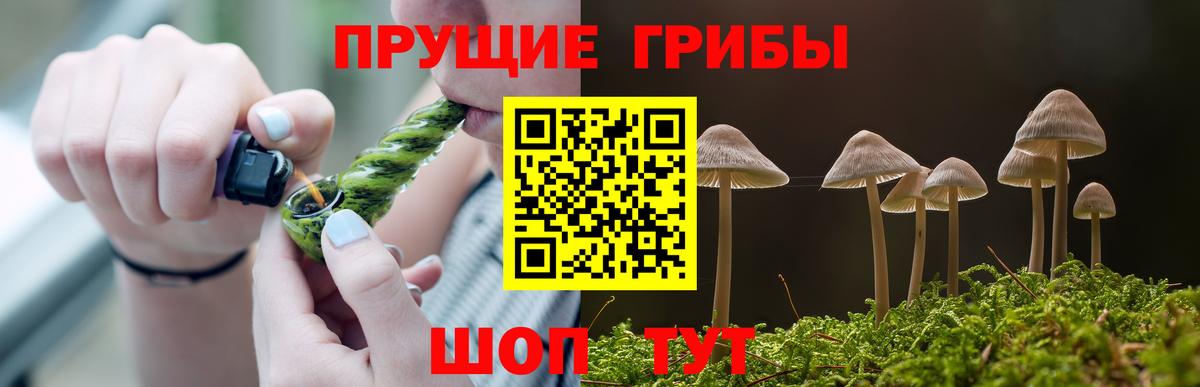 Александров  Псилоцибиновые грибы MAGIC MUSHROOMS  дарнет шоп  Псилоцибиновые грибы ЛСД  Вход с VPN 